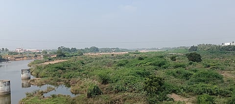 கரூா் சுக்காலியூா்- சேலம் தேசிய நெடுஞ்சாலை பாலம் அருகே அமராவதி ஆற்றை ஆக்கிரமித்துள்ள சீமைக்கருவேல மரங்கள்.

