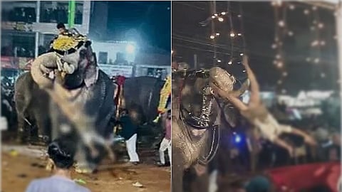 கூட்டத்தில் இருந்த ஒருவரை யானை தாக்கிய விடியோ காட்சி.