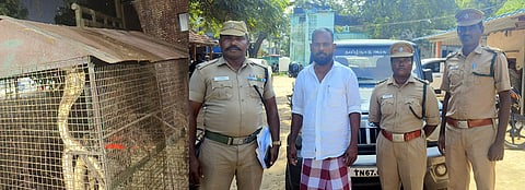   கூண்டில் அடைத்து வளா்க்கப்பட்ட நாகப்பாம்பை பறிமுதல் செய்து திரைப்பட நடிகா் ராஜேந்திரனை கைது செய்த வனத் துறையினா். 

