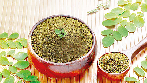 முருங்கை இலைப் பொடி