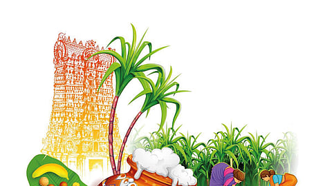 கரும்போ கரும்பு...