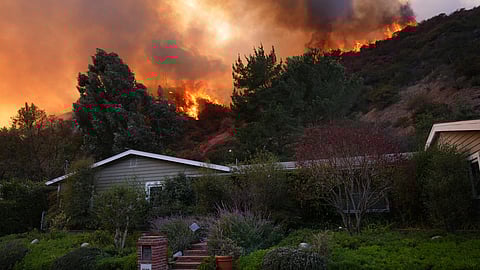 மேண்டெவில் கேன்யான் | பாலிசேட்ஸ், லாஸ் ஏஞ்சலீஸ்