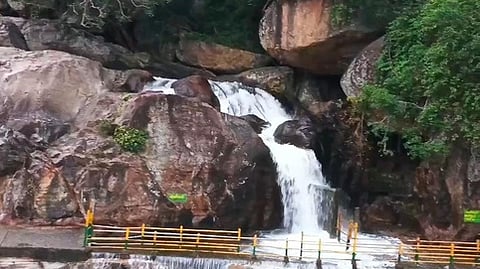 நெல்லை, தென்காசி மாவட்ட அணைகள் நீா் மட்டம்