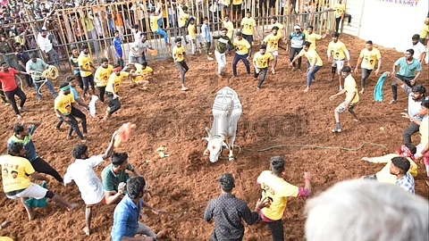 கரூர் ஆர்.டி.மலை ஜல்லிக்கட்டு: அமைச்சர் செந்தில் பாலாஜி தொடங்கி வைத்தார்!
