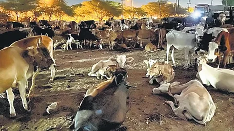 கோப்புப் படம்