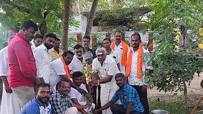 மரக்கன்று நட்ட மாவட்ட பாஜக தலைவா் ஆனந்தன் அய்யாச்சாமி