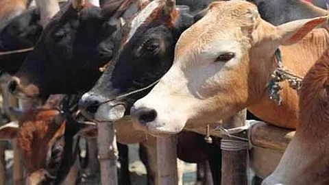 கோப்புப்படம் 