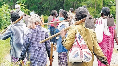 ஊரக வேலைவாய்ப்புத் திட்டப் பணியாளர்கள் 