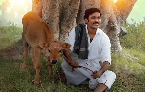 இட்லி கடை வெளியீட்டில் மாற்றம்?