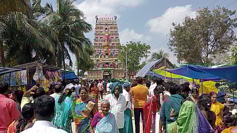 திருவிடைக்கழி முருகன் கோயிலில் தைப்பூசம்  