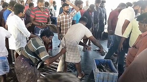  திரேஸ்புரம் நாட்டுப்படகு மீன்பிடி துறைமுக ஏலக் கூடத்தில் மீன்கள் வாங்க குவிந்துள்ள மக்கள்.