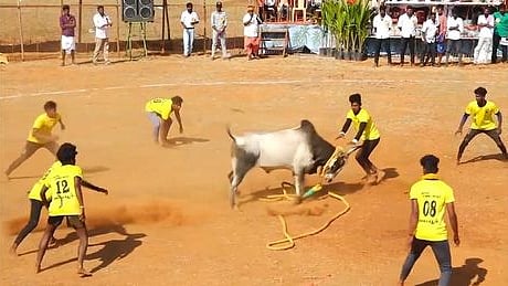 சருகணி கிராமத்தில்
வடமாடு மஞ்சுவிரட்டு