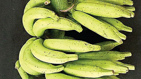 சர்க்கரை நோயாளிகளுக்கான வாழைப் பழம்!