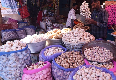 பூண்டு வரத்து