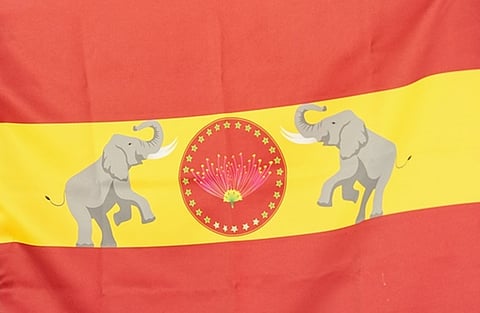 தவெக கொடி.