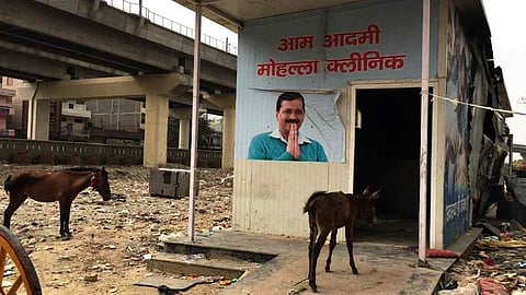 மொஹல்லா கிளினிக்