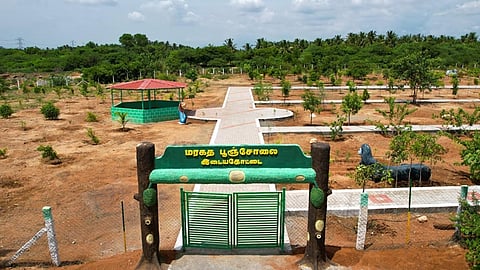 தமிழகத்தில் ரூ. 4.25 கோடியில் 17 கிராம பசுமைக் காடுகள் அமைக்க அரசு ஒப்புதல்