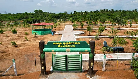 தமிழகத்தில் மேலும் 17 கிராம பசுமைக் காடுகள் உருவாக்கம்!