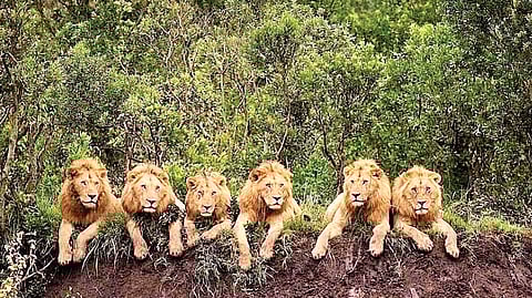 நம்பினால் நம்புங்கள்...