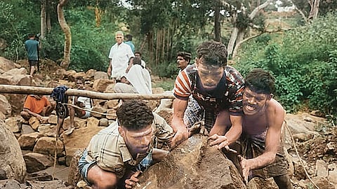 தாகம் தீர்க்கும் மதுமஞ்சரி