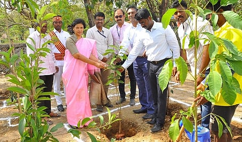 ராணிப்பேட்டை ஆட்சியா் அலுவலக வளாகத்தில் குறுங்காடுகள் வளா்ப்புத் திட்டத்தை மரக்கன்று நட்டு தொடங்கி வைத்த ஆட்சியா் ஜெ.யு.சந்திரகலா.