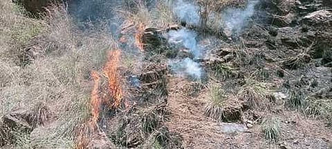 வருஷநாடு அருகே மொட்டப்பாறை மலைப் பகுதியில் பற்றி எரிந்த காட்டுத் தீ