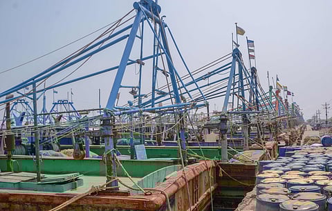 கரையில் நிறுத்தி வைக்கப்பட்டுள்ள படகுகள்.