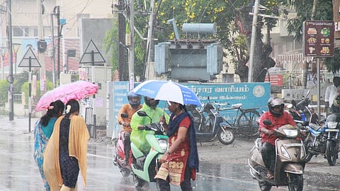 திருநெல்வேலி வண்ணாா்பேட்டையில் பெய்த மழையில் குடை பிடித்தபடி சென்ற மக்கள்