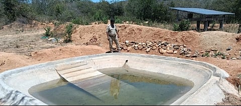  வன விலங்குகளின் குடிநீா்த் தேவைக்காக குடியாத்தம் வனப்பகுதியில் அமைக்கப்பட்டுள்ள நீா்க்குட்டை.