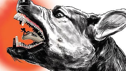 நாய் உமிழ்நீா் பட்டாலும் ரேபிஸ் தடுப்பூசி கட்டாயம்! -பொது சுகாதாரத் துறை