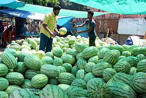தர்பூசணி