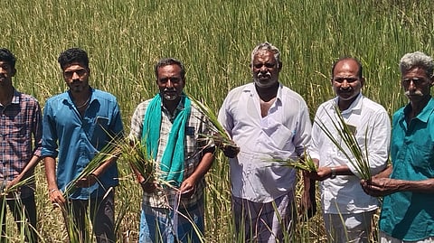 எதிர்பார்ப்பில் விவசாயிகள்