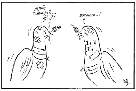 காஸா! 