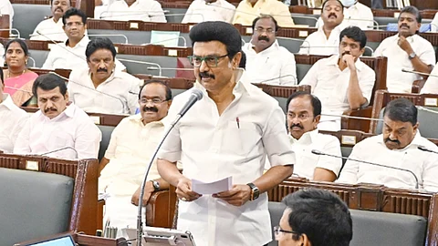 முதல்வர் ஸ்டாலின் 