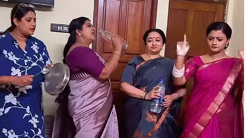 சிறகடிக்க ஆசை தொடரிலிருந்து...