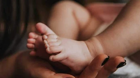 பச்சிளம் சிசு