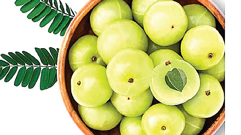 வாயு தொந்தரவால் அவதியா?