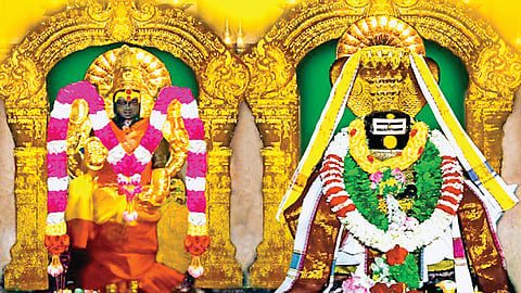 தாழம்பூவுக்கு சாப விமோசனம் அளித்த சிவன்!