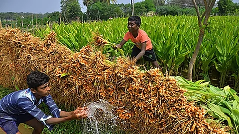 பார‌ம்​ப​ரி​ய‌த்​து‌க்கு பாது​கா‌ப்​பு!
