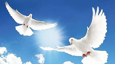 வன்முறையற்ற உலகைப் படைப்போம்!