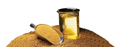 பிண்ணாக்கு ஏற்றுமதி 21% சரிவு