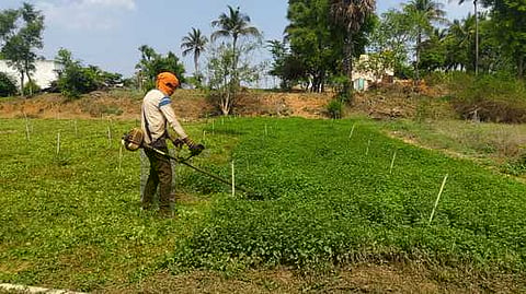 கோப்புப்படம். 