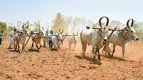 தொடரும் பொன்னேர் பண்பாடு