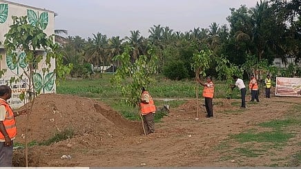 நெடுஞ்சாலைத் துறை மூலம் 
மரக்கன்றுகள் பராமரிப்பு