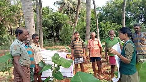  வேப்பம்பட்டியில் உயிா் உரங்களின் பயன்பாடு குறித்து புதன்கிழமை விவசாயிகளுக்கு பயிற்சி அளித்த வேளாண்மைக் கல்லூரி மாணவி. 