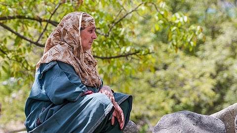 குதிரை ஓட்டியின் தாய்