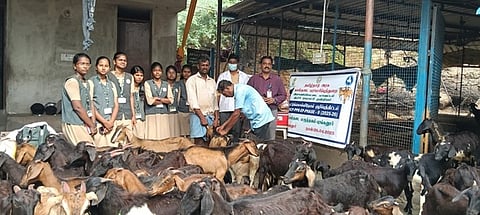 காவனூரில் நடைபெற்ற ஆட்டுக்கொல்லி தடுப்பூசி முகாம்.