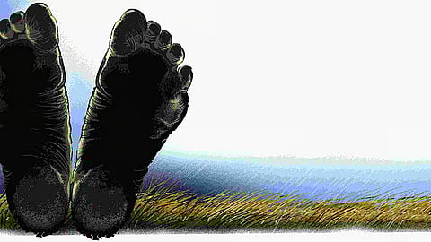 கோப்புப் படம்
