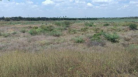 நீரின்றி வடு காணப்படும் தாதம்பாளையம் ஏரி.