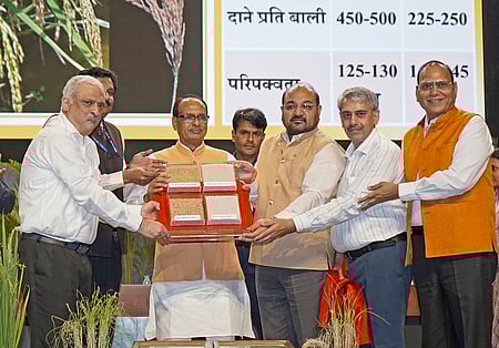 புது தில்லியில் ஞாயிற்றுக்கிழமை நடைபெற்ற நிகழ்ச்சியில் மரபணு திருத்தம் செய்யப்பட்ட இரண்டு நெல் ரகங்களை அறிமுகம் செய்த மத்திய வேளாண் துறை அமைச்சா் சிவராஜ் சிங் சௌஹான்.